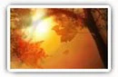 Autumn desktop wallpapers UltraWide 21:9 3440x1440 and 2560x1080