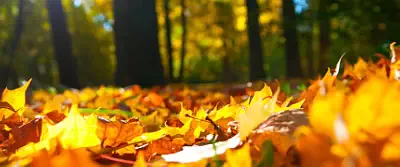 Autumn wallpapers UltraWide 21:9